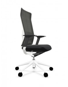 Sillones de dirección TNK -FLEX 2