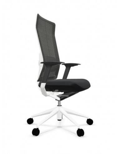 Sillones de dirección TNK -FLEX