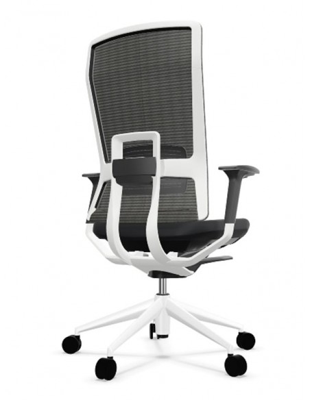 Sillones de dirección TNK -FLEX